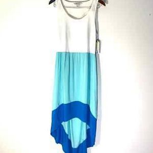 Adam Levine sleeveless high low dress